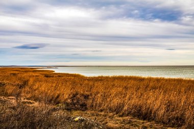 Sonbaharda Baltık Denizi kıyıları