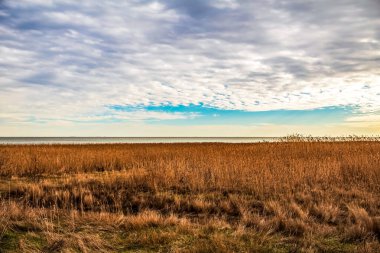 Bir gölü ve bir ağacı olan güzel bir manzara.