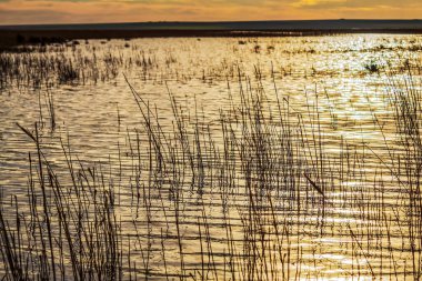 Denizde güzel bir gün doğumu