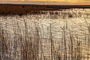 Gölde gün batımı