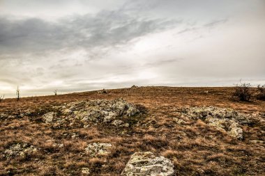 Kayalık dağların güzel manzarası.