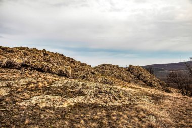 Ormanın ortasında güzel bir dağ manzarası.
