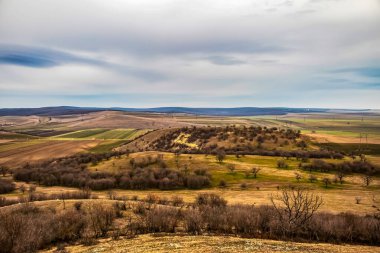 Bir tarlası ve bulutlu gökyüzü olan güzel bir manzara.