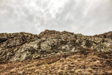 Doğanın güzel manzarası
