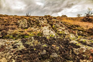 Dağları ve ağaçları olan güzel bir manzara.