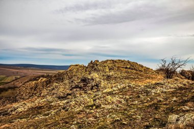 Karpat Dağları 'ndaki güzel dağ manzarası