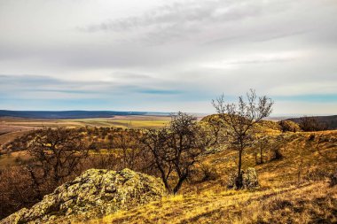 Arka planda bir nehir ve ağaç olan güzel bir manzara.
