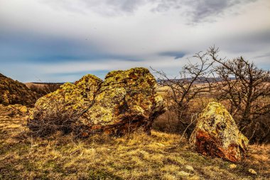 Nehir ve gölü olan güzel bir manzara.