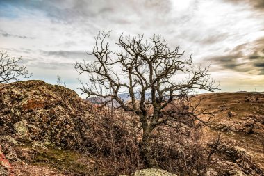Doğanın güzel manzarası