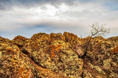 Kuzey İspanya 'da güzel bir dağ manzarası