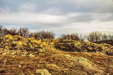 Doğanın güzel manzarası