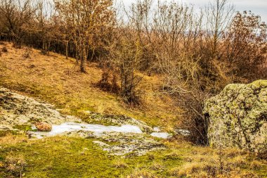 Ağaçlar ve kayalarla dolu güzel sonbahar manzarası