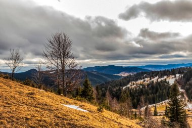Kar ve ağaçlarla dolu güzel kış manzarası