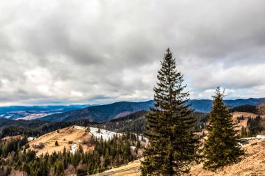 Ağaçlar ve dağlarla dolu güzel kış manzarası