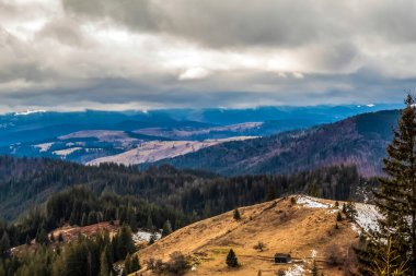 Kar ve ormanla kaplı güzel kış manzarası
