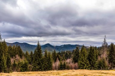 Karpatlar'ın dağ manzarası