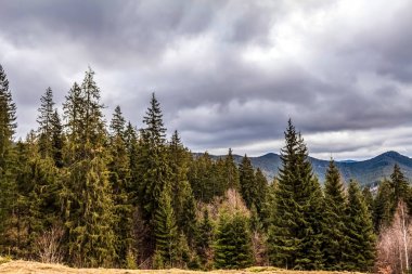 Karpatlar ve Romanya 'daki dağların güzel manzarası