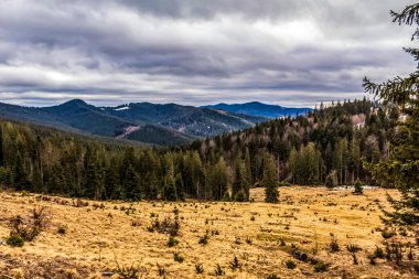 Sonbaharda ağaçlarla dolu güzel bir sıradağ.