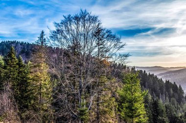 Dağların güzel manzarası