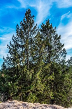 Doğanın güzel manzarası