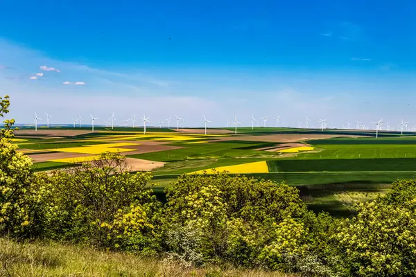 Yeşil çimenli güzel bir arazi manzarası