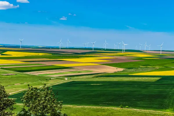Polonya 'daki rüzgar türbinlerinin ve sarı kolza tohumu tarlalarının hava görüntüsü