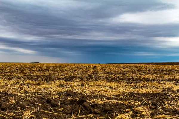 Kırsal kesimde tarımsal alan