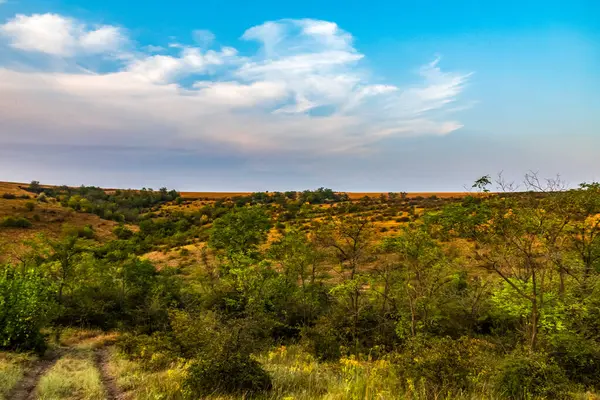 Doğanın güzel manzarası