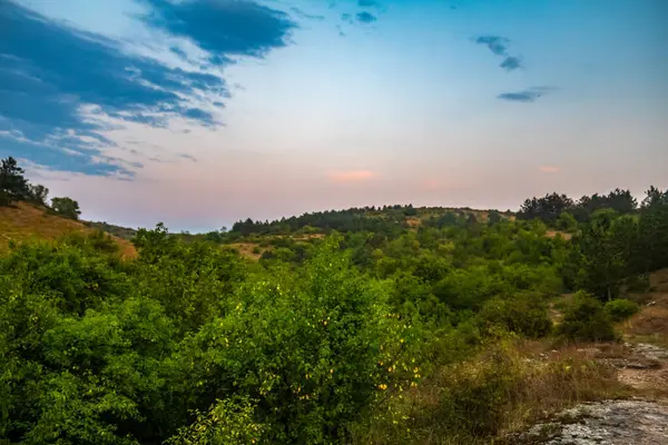 Yeşil çimlerin ve bir ormanın manzarası