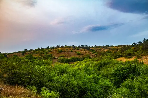 Dağlarda bir ağacı olan güzel bir manzara.