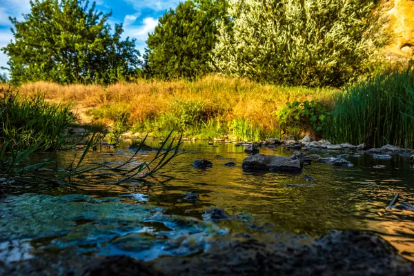 Ormandaki bir kanyonda nehir.