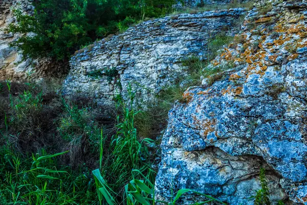 Sahanın ortasındaki kayanın yakın çekim görüntüsü.
