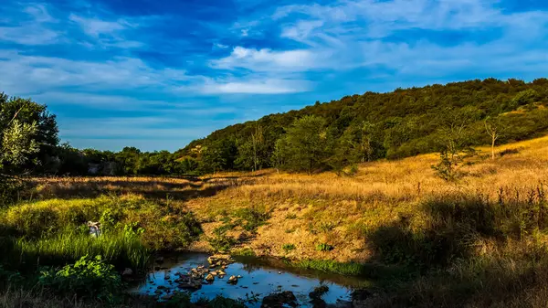 Ağaçlar ve ormanlarla dolu güzel bir manzara.