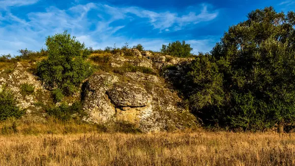 Sonbahar ormanlarında kayalar, mavi gökyüzü, sarı çimenler, ağaçlar ve çimenler. Rusya 'nın güzel manzarası.
