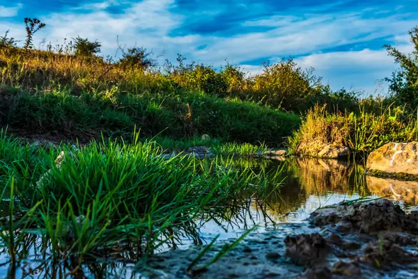Gölün üzerinde güzel bir gün batımı