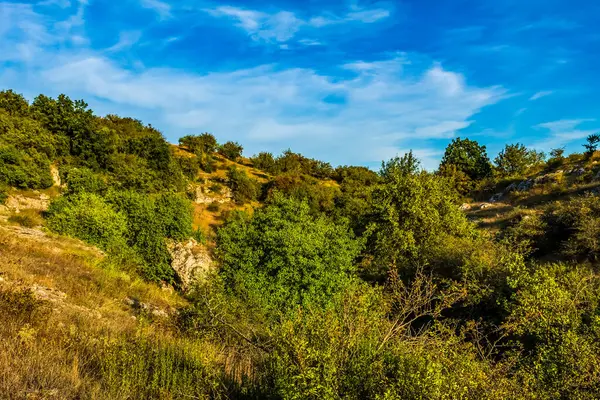 Güzel sonbahar manzarası Ağaçlar ve mavi gökyüzü