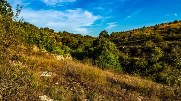Ağaçları ve mavi gökyüzü olan güzel bir manzara.