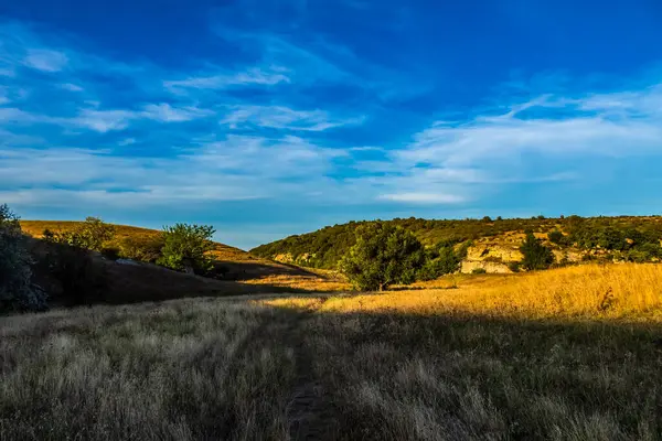 Buğday tarlası ve mavi gökyüzü olan bir manzara.