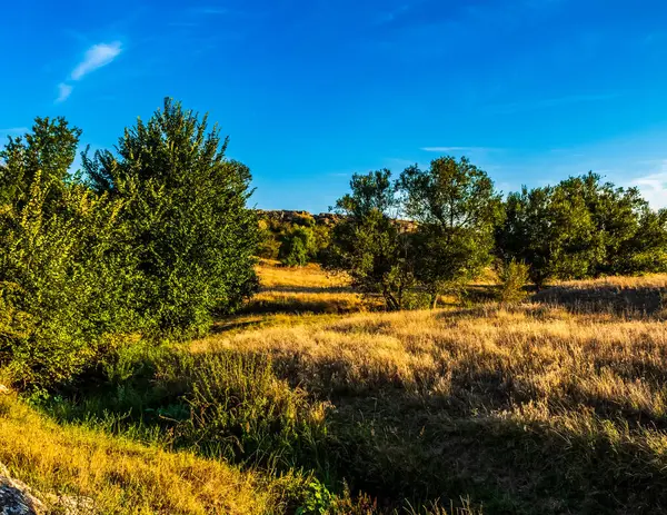Güzel sonbahar manzarası Dağlarda ağaçlar