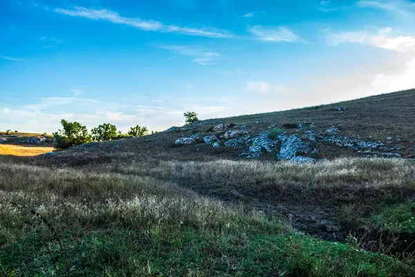 Çayırı ve otuyla güzel bir yaz manzarası
