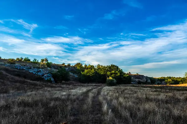 Kırsal kesimde güzel bir manzara, kırsal kesimde bir yol, Portekiz.