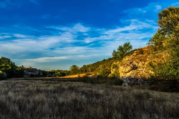 Ağaçlarla çevrili güzel bir dağ manzarası.
