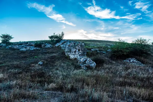Dağlarda yeşil çayır