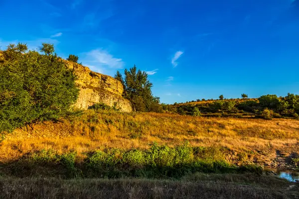 Güneşli bir günde ormanlık bir nehir manzarası.