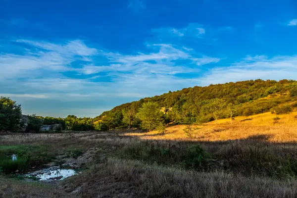 Köyde güneşli bir yaz gününde ormanın içinde küçük bir köyle manzara.