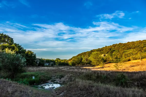 Güzel bir doğa ile çevrili bir ormanın güzel bir görüntüsü.