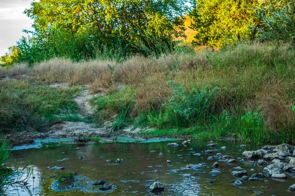 Nehir yeşil ormandan akıyor.
