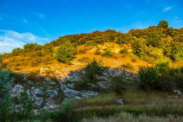 Ağacı olan güzel bir manzara