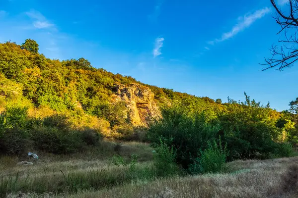 Güzel bir manzara Ağacı ve mavi gökyüzü