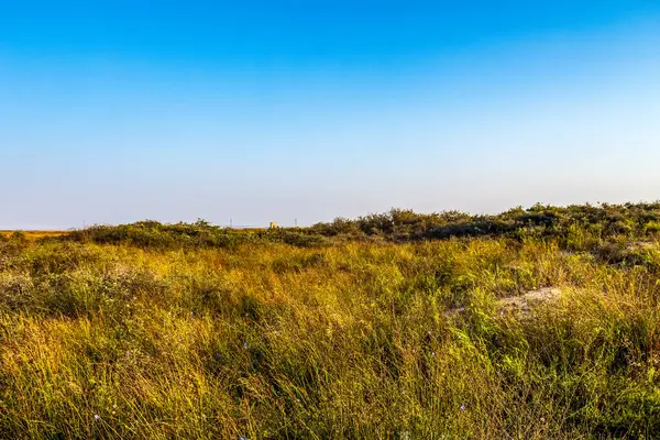 Kuru çimlerle, mavi gökyüzüyle ve beyaz bulutlarla yaz manzarası.
